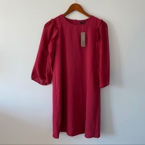 Ann Taylor Long Sleeve Dress, NWT, Size 0P